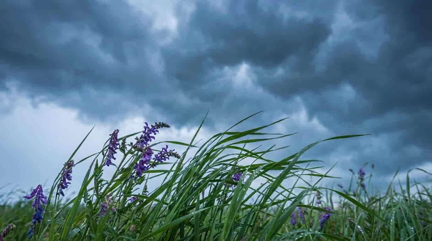 Body image for Lidský barometr, který se ozve při každé změně tlaku. Hustá tekutina, kterou lékárníci schovávají v dolních policích, dokáže povolit i roky staré zatvrdliny